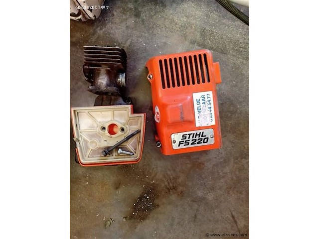 Bosmaaier - afbeelding 3 van  5