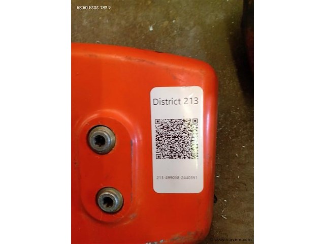 Bosmaaier - afbeelding 4 van  5