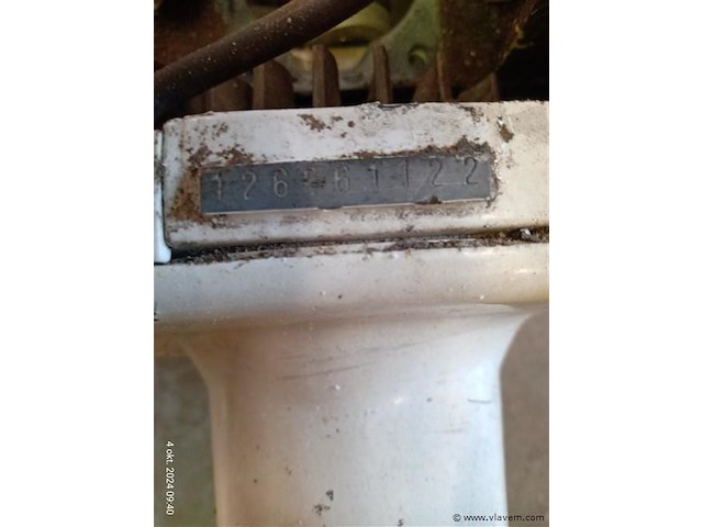 Bosmaaier - afbeelding 5 van  5