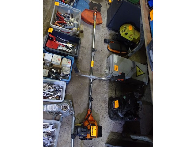 Bosmaaier - afbeelding 1 van  3