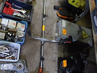 Bosmaaier - afbeelding 1 van  3