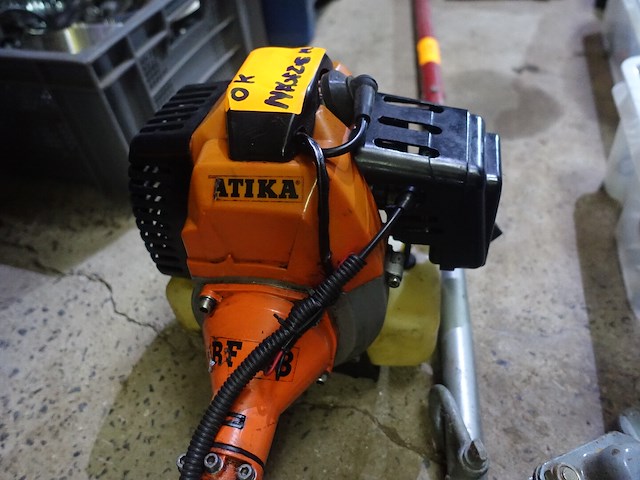 Bosmaaier - afbeelding 2 van  3