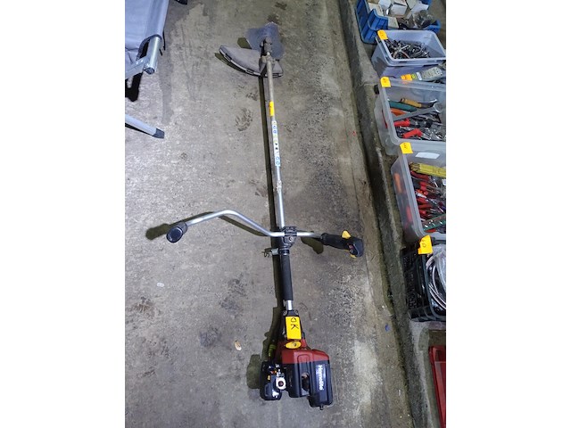 Bosmaaier - afbeelding 1 van  3