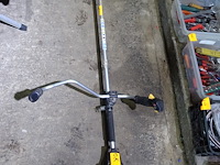 Bosmaaier - afbeelding 1 van  3