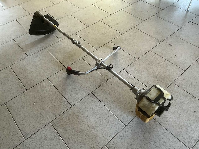 Bosmaaier - afbeelding 3 van  3