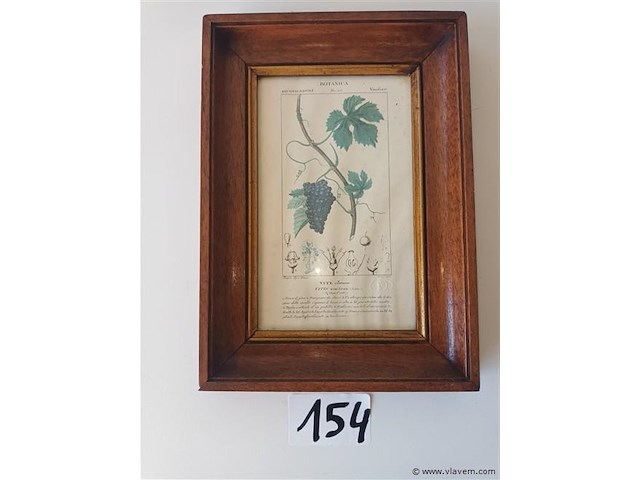 Botanica kader - afbeelding 1 van  4