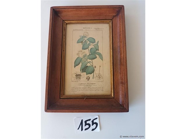 Botanica kader - afbeelding 1 van  3