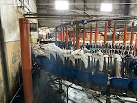 Boumatic rotary melkparlor / melkend roto melksysteem - afbeelding 5 van  10