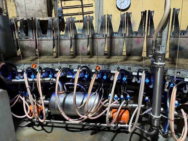 Boumatic rotary melkparlor / melkend roto melksysteem - afbeelding 9 van  10