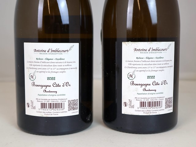 Bourgogne côte d’or chardonnay 2022 (2x) - afbeelding 3 van  3