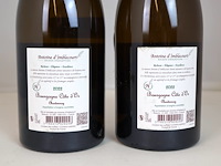 Bourgogne côte d’or chardonnay 2022 (2x) - afbeelding 3 van  3