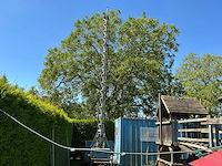 Bouwlift - afbeelding 1 van  7