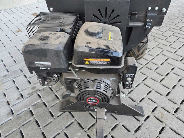 Boxer houthakselaar - afbeelding 6 van  6