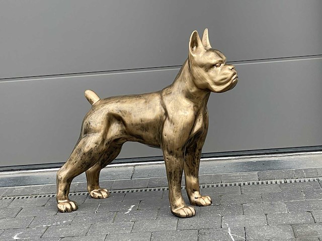 Boxer old gold h87cm - afbeelding 1 van  2