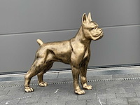 Boxer old gold h87cm - afbeelding 1 van  2