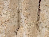 Bram bogart (1921-2012), 'witbruin', nr. 10, febr. 1975, 1/1, mixed media 45 x 34 cm. (17.71 x 13.39 in.) - afbeelding 2 van  11