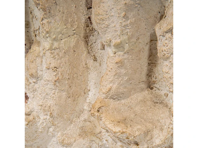Bram bogart (1921-2012), 'witbruin', nr. 10, febr. 1975, 1/1, mixed media 45 x 34 cm. (17.71 x 13.39 in.) - afbeelding 3 van  11