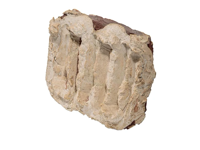 Bram bogart (1921-2012), 'witbruin', nr. 10, febr. 1975, 1/1, mixed media 45 x 34 cm. (17.71 x 13.39 in.) - afbeelding 6 van  11