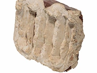 Bram bogart (1921-2012), 'witbruin', nr. 10, febr. 1975, 1/1, mixed media 45 x 34 cm. (17.71 x 13.39 in.) - afbeelding 6 van  11