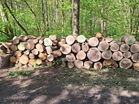 Brandhout provinciedomeinen west-vlaanderen