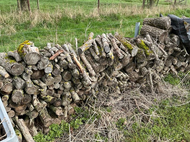 Brandhout - afbeelding 4 van  8