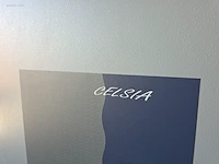 Brandkast fichet celsia 800 p - afbeelding 4 van  9