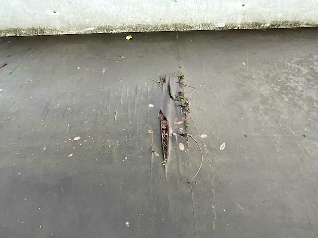 Branta 750kg aanhangwagen - afbeelding 14 van  17