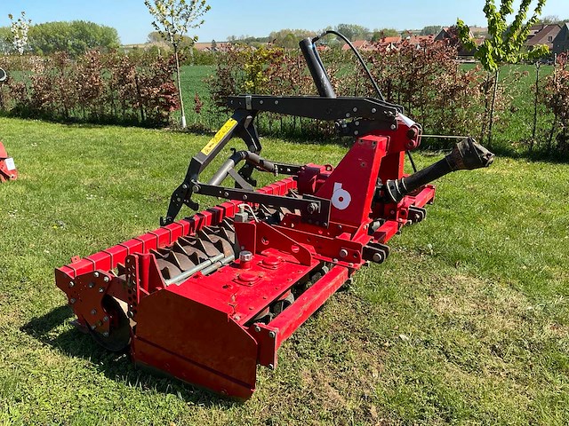 Breviglieri gedragen rotorkopeg - afbeelding 2 van  6