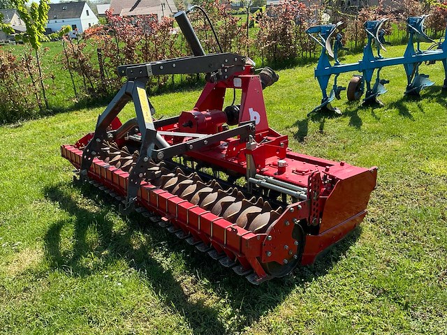 Breviglieri gedragen rotorkopeg - afbeelding 3 van  6