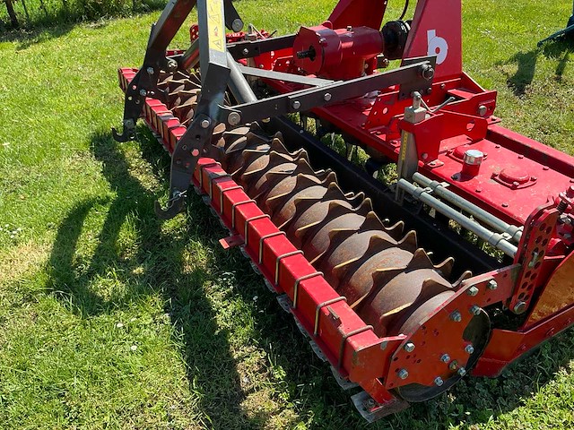 Breviglieri gedragen rotorkopeg - afbeelding 4 van  6