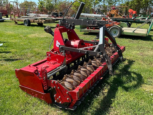 Breviglieri gedragen rotorkopeg - afbeelding 5 van  6