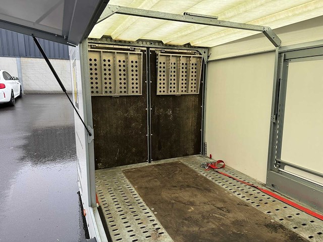 Brian james race sport ***no reserve*** - afbeelding 9 van  31