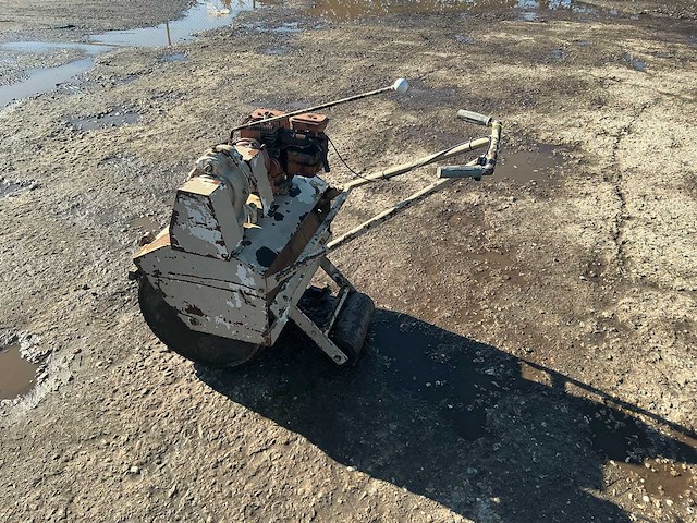 Briggs & stratton grondwals - afbeelding 3 van  8