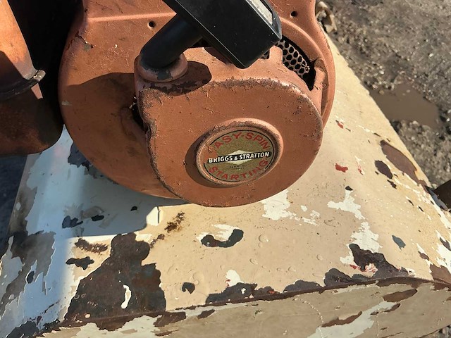 Briggs & stratton grondwals - afbeelding 7 van  8