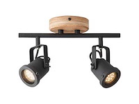 Brilliant inge 2-lichts plafondlamp (34x) - afbeelding 1 van  1