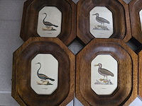 Brocante: 12x kader in hout - afbeelding 7 van  8