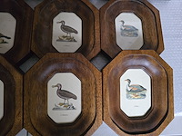 Brocante: 12x kader in hout - afbeelding 8 van  8