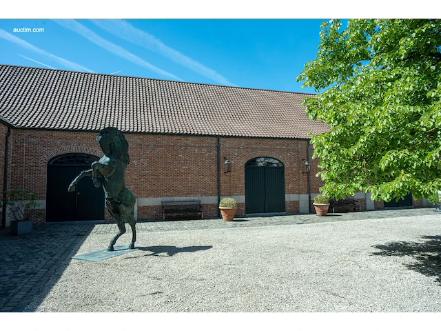 Bronzen monumentaal steigerend paard jan... - afbeelding 8 van  17