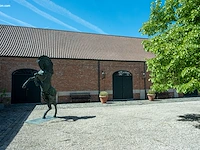 Bronzen monumentaal steigerend paard jan... - afbeelding 8 van  17