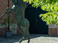 Bronzen monumentaal steigerend paard jan... - afbeelding 13 van  17