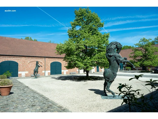 Bronzen monumentaal steigerend paard jan... - afbeelding 15 van  17