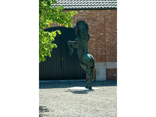 Bronzen monumentaal steigerend paard jan... - afbeelding 16 van  17