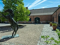 Bronzen monumentaal steigerend paard jan... - afbeelding 2 van  12