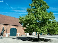 Bronzen monumentaal steigerend paard jan... - afbeelding 8 van  12