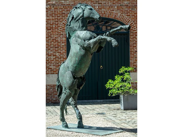 Bronzen monumentaal steigerend paard jan... - afbeelding 10 van  12