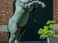 Bronzen monumentaal steigerend paard jan... - afbeelding 10 van  12