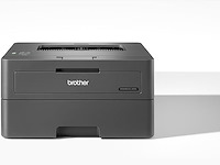 Brother hl-l2400dwe printer - afbeelding 1 van  6