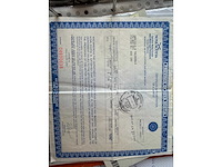 Brute - bigbrute - motorcycle - afbeelding 11 van  12