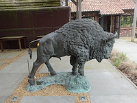 Buffel - afbeelding 1 van  4
