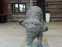 Buffel - afbeelding 2 van  4